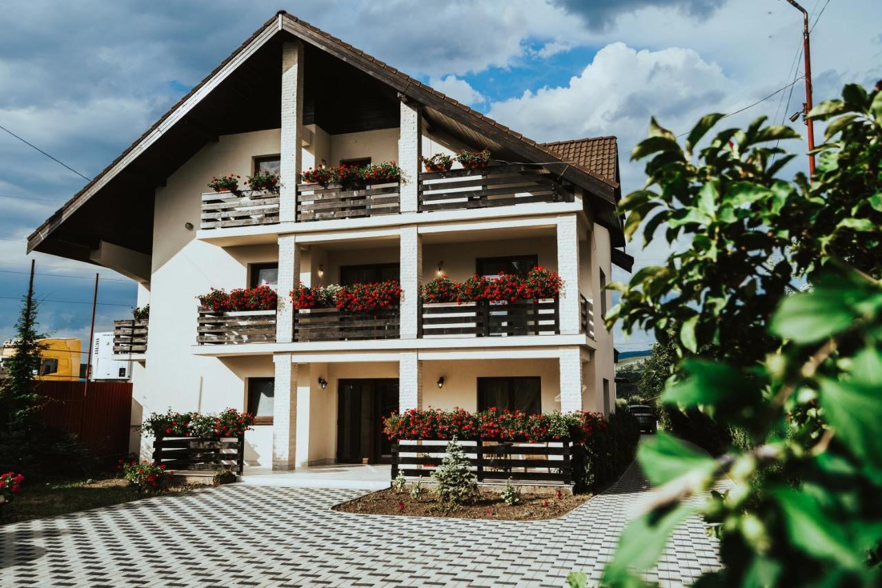 Pensiunea Romana Онешти Экстерьер фото